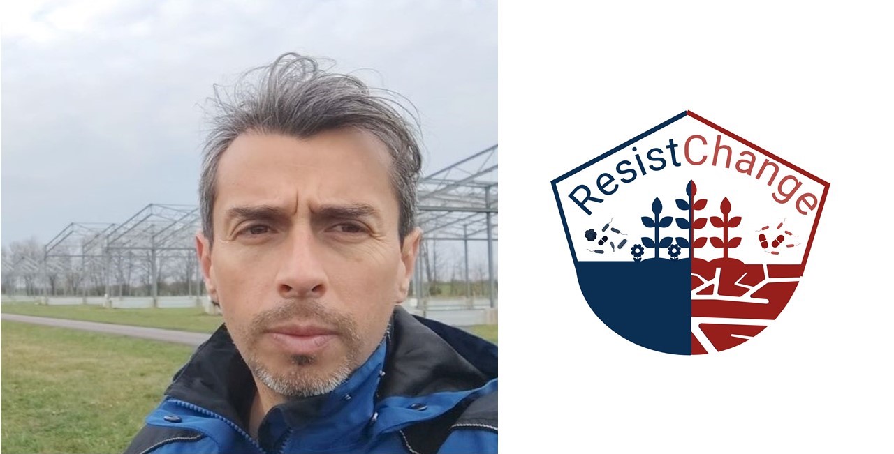 Luis and logo